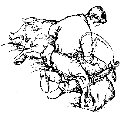 Среди Йоркширских холмов i_027.png