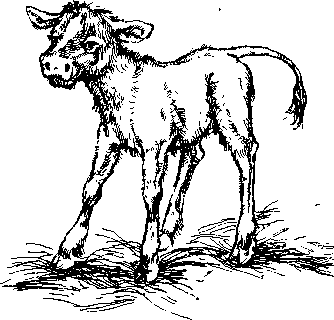 Среди Йоркширских холмов i_038.png