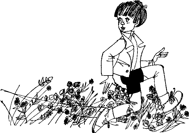 Большая медведица смотрит на город p0006.png
