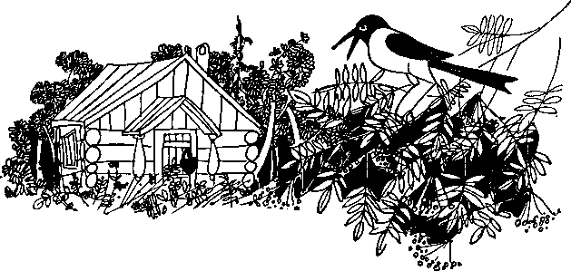 Большая медведица смотрит на город p0020.png