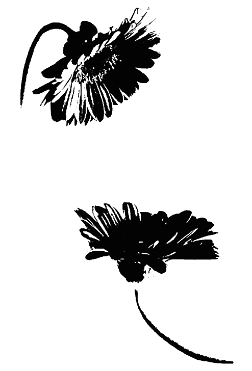 Енна. Дорога до себе i_001.png
