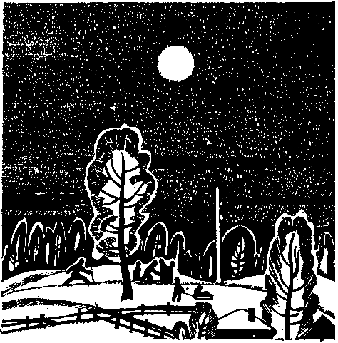 Далекие зимние вечера (сборник) pic_19.png