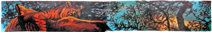 Фрам — полярный медведь i_006.jpg