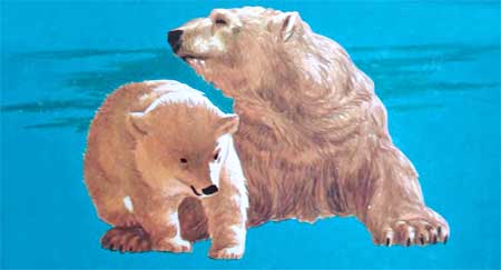 Фрам — полярный медведь i_092.jpg