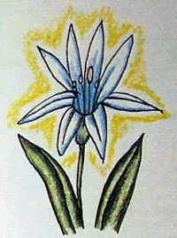 Картонное сердце (с илл. В. Пивоварова) pic28.jpg