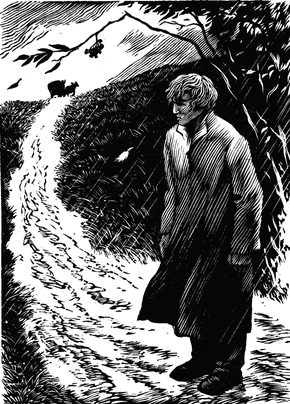 Жизнь Кольцова i_006.png