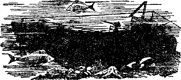 Шхуна «Колумб» (илл. А.И. Титовского) i_011.png