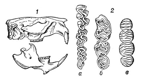 Большая Советская Энциклопедия (ГР) i009-001-213860609.jpg
