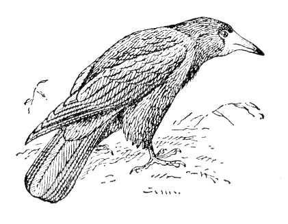 Большая Советская Энциклопедия (ГР) i010-001-256028216.jpg
