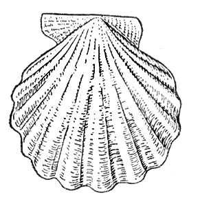 Большая Советская Энциклопедия (ГР) i010-001-277394942.jpg