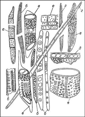Большая Советская Энциклопедия (ДР) i009-001-221868367.jpg