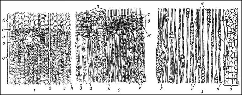 Большая Советская Энциклопедия (ДР) i009-001-236668812.jpg