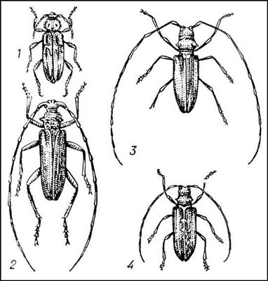 Большая Советская Энциклопедия (ДР) i009-001-208940988.jpg