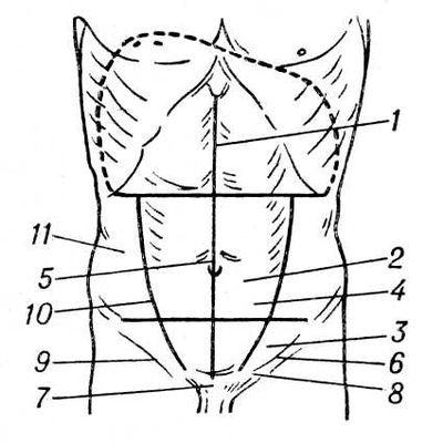 Большая Советская Энциклопедия (ЖИ) i010-001-278791089.jpg