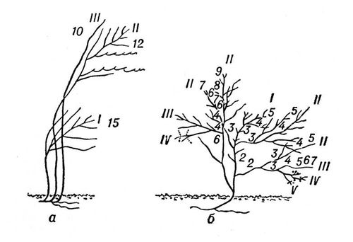 Большая Советская Энциклопедия (ЖИ) i009-001-235268054.jpg