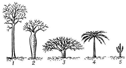 Большая Советская Энциклопедия (ЖИ) i010-001-244587191.jpg
