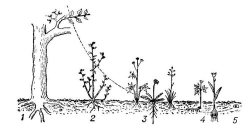 Большая Советская Энциклопедия (ЖИ) i010-001-273875244.jpg