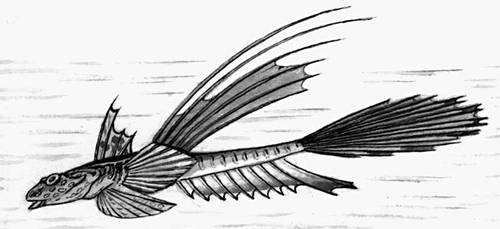 Большая Советская Энциклопедия (ЛИ) i009-001-235939530.jpg