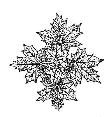 Большая Советская Энциклопедия (ЛИ) i010-001-250733634.jpg