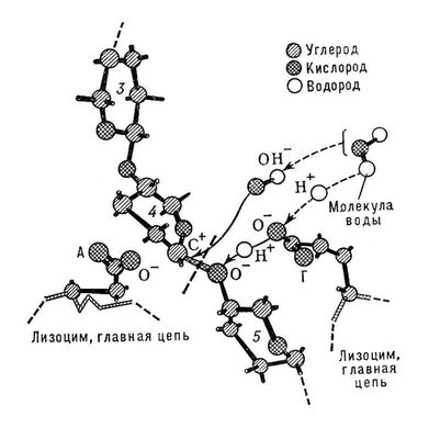 Большая Советская Энциклопедия (ЛИ) i010-001-260398399.jpg