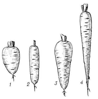 Большая Советская Энциклопедия (МО) i009-001-231189062.jpg