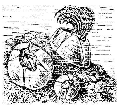 Большая Советская Энциклопедия (МО) i010-001-278176383.jpg