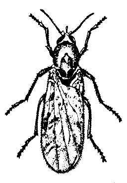 Большая Советская Энциклопедия (МО) i009-001-201047122.jpg