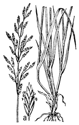 Большая Советская Энциклопедия (ОВ) i010-001-258991679.jpg