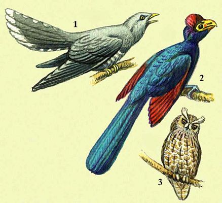 Большая Советская Энциклопедия (ПТ) i009-001-229410194.jpg