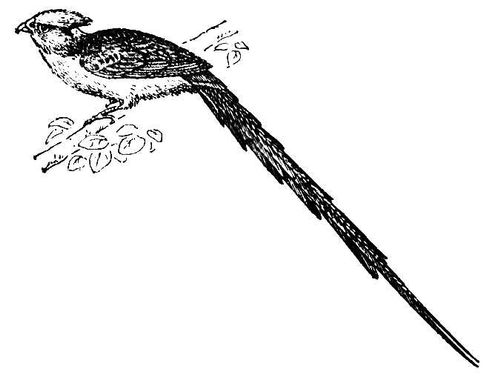 Большая Советская Энциклопедия (ПТ) i009-001-237112864.jpg
