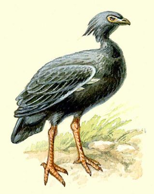 Большая Советская Энциклопедия (ПТ) i010-001-257143515.jpg