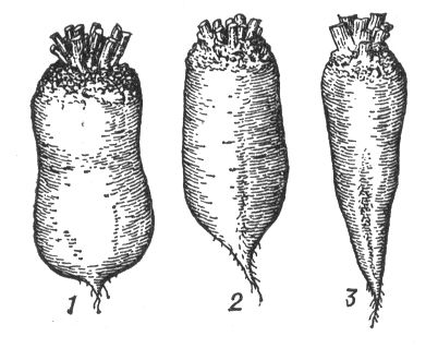 Большая Советская Энциклопедия (СВ) i010-001-247180228.jpg