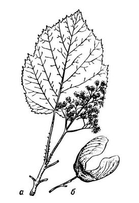 Большая Советская Энциклопедия (ТА) i010-001-266142782.jpg