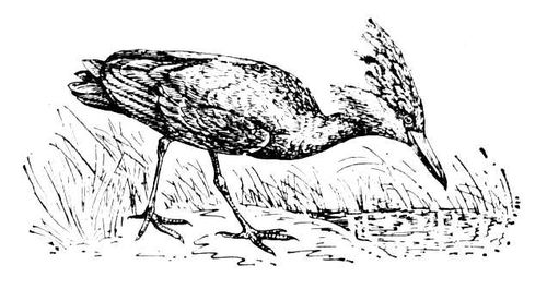 Большая Советская Энциклопедия (ТЕ) i010-001-248126306.jpg
