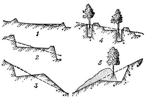 Большая Советская Энциклопедия (ТЕ) i010-001-253289765.jpg