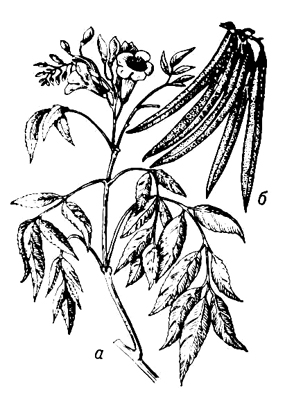 Большая Советская Энциклопедия (ТЕ) i009-001-214787948.jpg