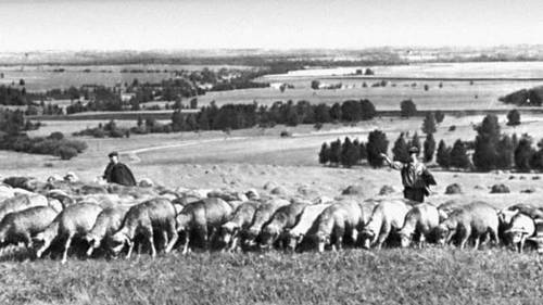 Большая Советская Энциклопедия (УЛ) i008-pictures-001-297282762.jpg