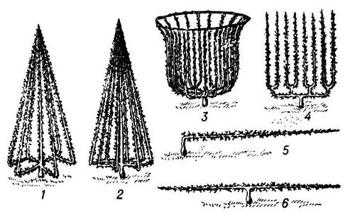 Большая Советская Энциклопедия (ФО) i009-001-207516288.jpg