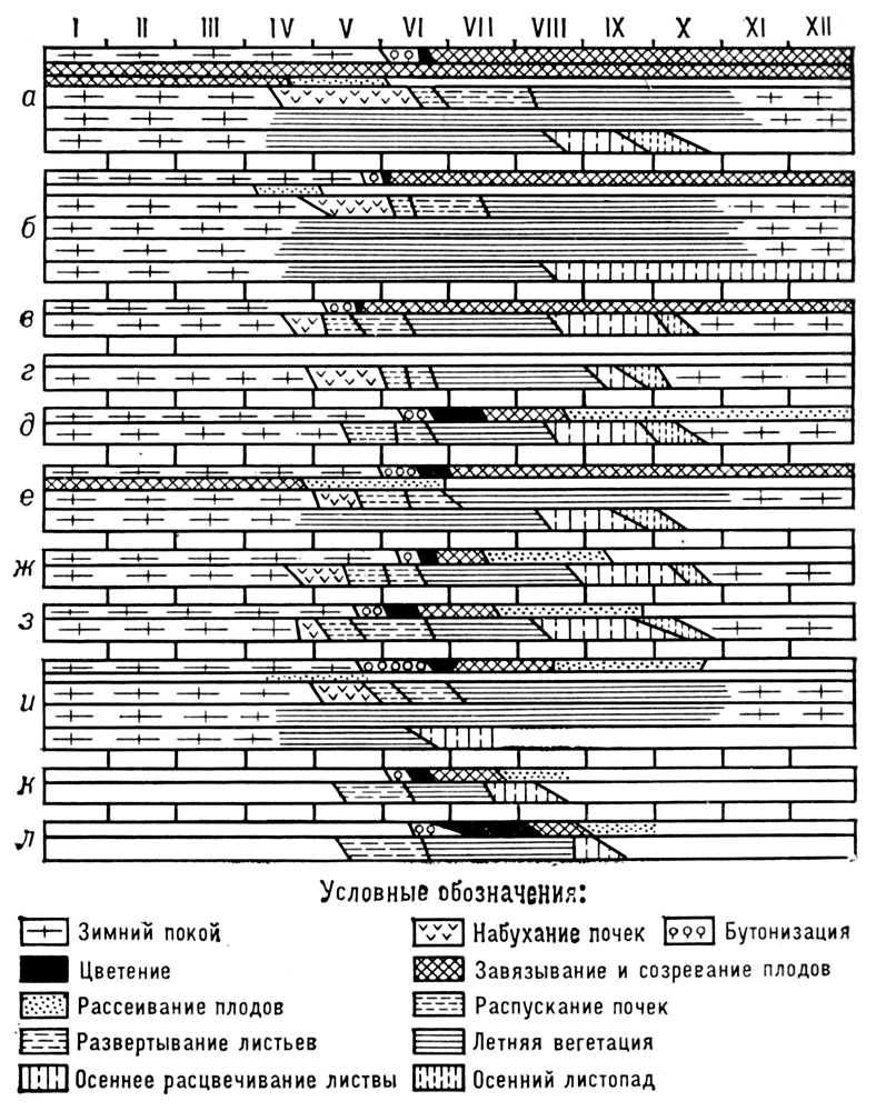 Большая Советская Энциклопедия (ФЕ) i009-001-228737883.jpg