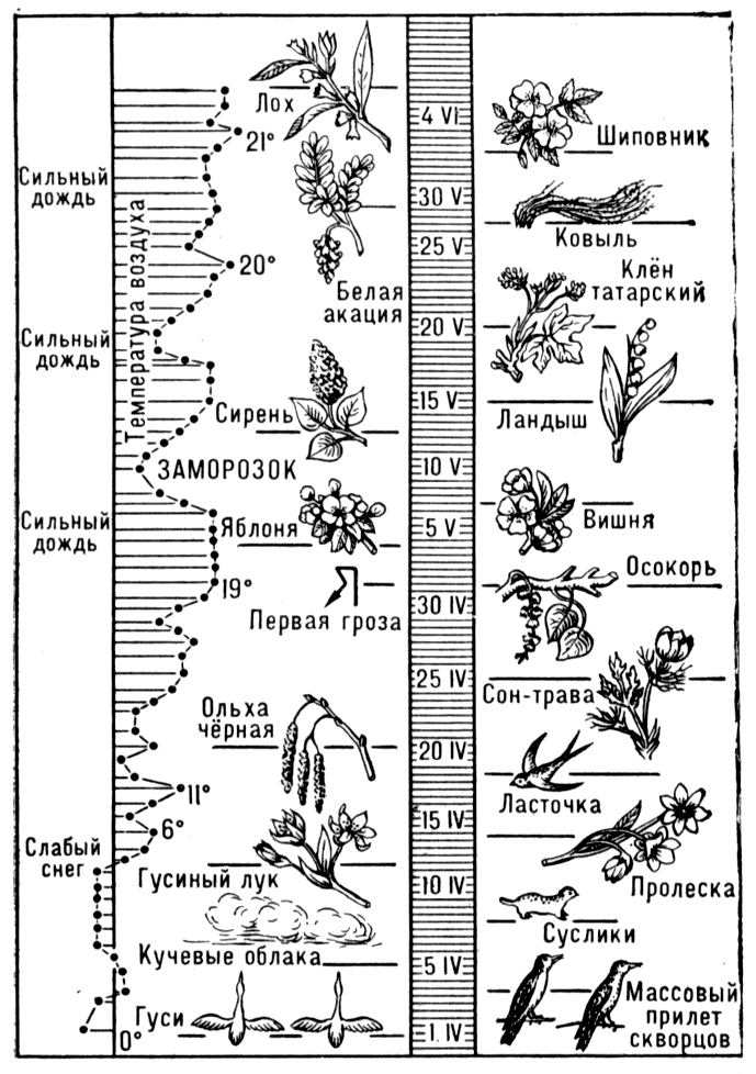 Большая Советская Энциклопедия (ФЕ) i010-001-265262654.jpg