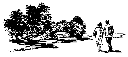 Кукла госпожи Барк (с илл.) pic_32.png