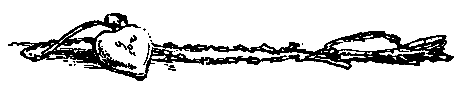 Кукла госпожи Барк (с илл.) pic_10.png