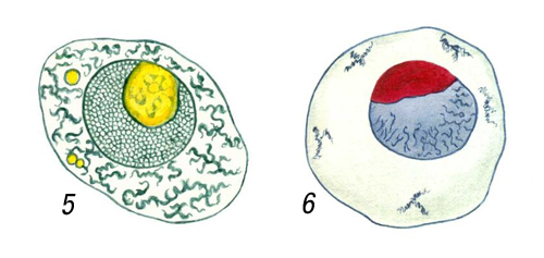 Большая Советская Энциклопедия (ЯД) i010-001-280972821.jpg