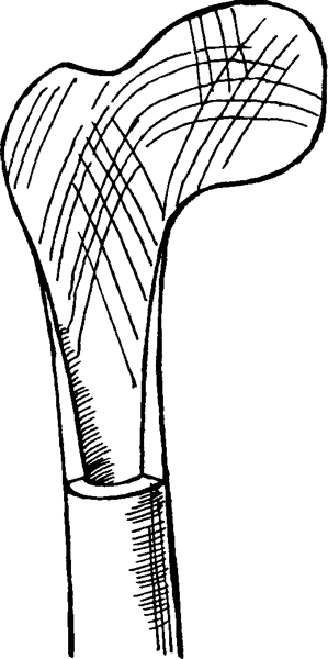 Специальный армейский рукопашный бой. Часть 1. img_1_25.png