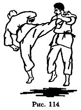Боевое Дзю-до _114.jpg