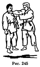 Боевое Дзю-до _245.jpg