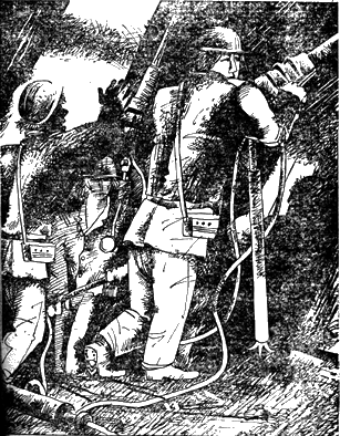 Крылатый камень Untitled4.png