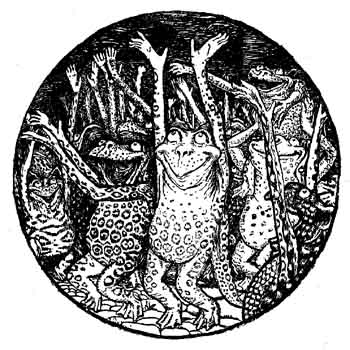 More English Fairy Tales aWxsdXMwMjUuanBn