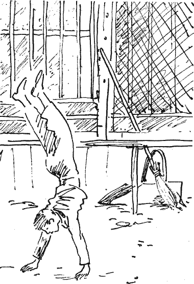 Я хочу видеть укротителя Novos141.png
