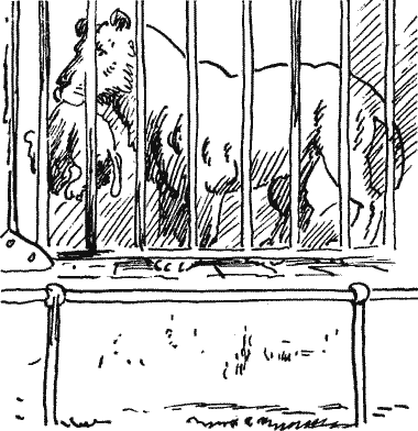Я хочу видеть укротителя Novos142.png